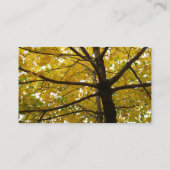 黄色のモミジのペア 紅葉の自然 名刺 (裏面)