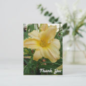 黄色のユリの花の感謝の気持ちのポストカード ポストカード (スタンド正面)