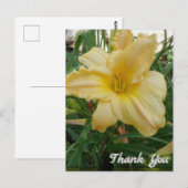 黄色のユリの花の感謝の気持ちのポストカード ポストカード (正面/裏面)