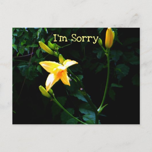 黄色のユリの花 ポストカード (正面)