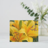 黄色のユリ ポストカード (スタンド正面)