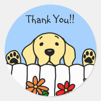 黄色のラブラドールあなたを見て ラウンドシール