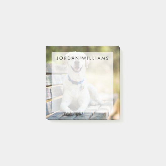 黄色のラブラドールがベンチに横たわる ポストイット (正面)