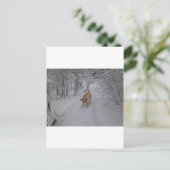 黄色のラブラドールが新雪の上で遊ぶ ポストカード (スタンド正面)