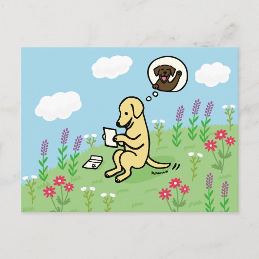 黄色のラブラドールと友人からの手紙 ポストカード (正面)