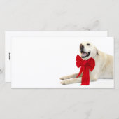 黄色のラブラドールのクリスマス シーズンカード (正面/裏面)