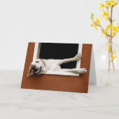 黄色のラブラドールグリーティングカード カード (黄色い花)