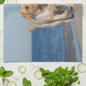 黄色のラブラドールビーチ キッチンタオル (折り畳み)