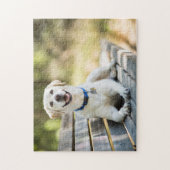 黄色のラブラドールレイアウト ジグソーパズル (縦)