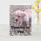 黄色のラブラドール考えのYouカード カード (黄色い花)