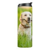 黄色のラブラドール遊をスティックで取り込む タンブラー (回転左)