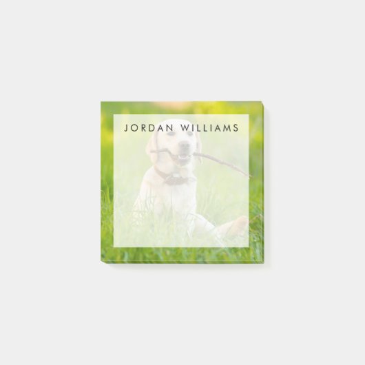 黄色のラブラドール遊をスティックで取り込む ポストイット (正面)