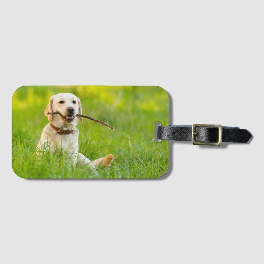 黄色のラブラドール遊をスティックで取り込む ラゲッジタグ (正面横)