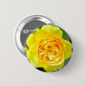黄色のローズボタン 缶バッジ (正面&裏面)