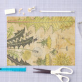 黄色のヴィンテージフランスのフローラ分離 薄葉紙 (クラフト)