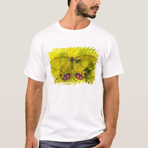 黄色の上の蝶 Tシャツ
