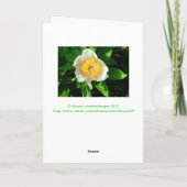 黄色の中心と白い牡丹/さくらんぼヒル牡丹 カード (裏面)