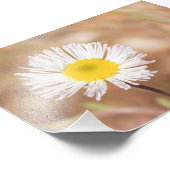 黄色の中心を持つ小さな白いデイジーの花 フォトプリント            (角)