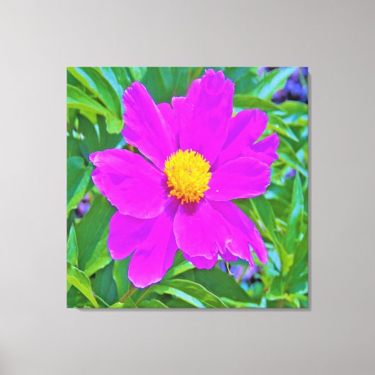 黄色の中心を持つ鮮やかな紫外線牡丹 キャンバスプリント (正面)