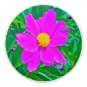 黄色の中心を持つ鮮やかな紫外線牡丹 セラミックノブ (正面)