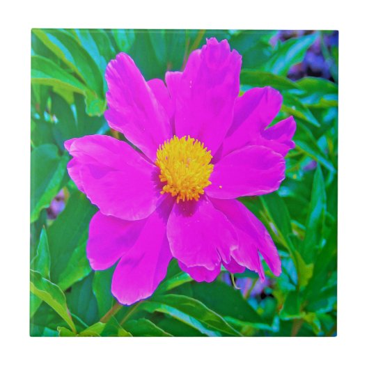 黄色の中心を持つ鮮やかな紫外線牡丹 タイル (正面)