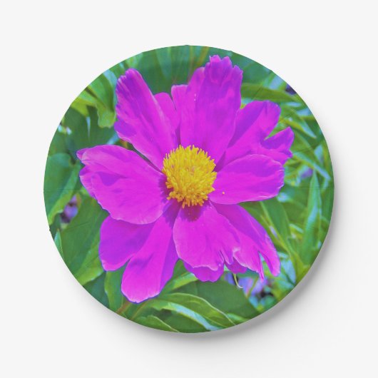 黄色の中心を持つ鮮やかな紫外線牡丹 ペーパープレート (正面)