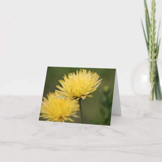 黄色の丸 ノートカード (正面)