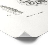 黄色の亜麻 (Linum glandulosum) ポスター (角)