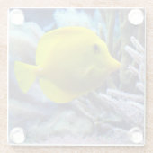 黄色の塩水唐魚 ガラスコースター (裏面)