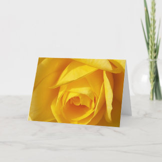 黄色の折目 カード