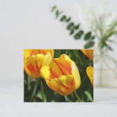 黄色の斑入りチューリップ ポストカード (スタンド正面)