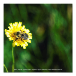 黄色の斑点 フォトプリント           