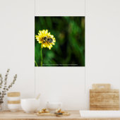 黄色の斑点 ポスター (キッチン)