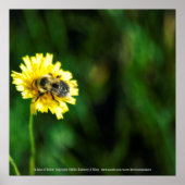 黄色の斑点 ポスター (正面)