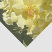 黄色の植物の花 薄葉紙 (詳細)
