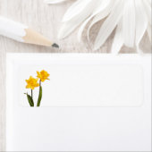 黄色の水仙の白 – 水仙空白の花 ラベル (インサイチュ)