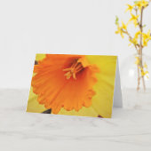 黄色の水仙の花クローズアップノートカード カード (黄色い花)