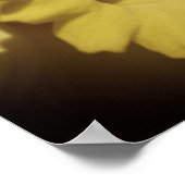 黄色の水仙の花クローズアップ ポスター (角)