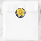 黄色の水仙の花 水彩画 ラウンドシール (バッグ)