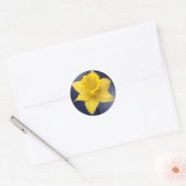 黄色の水仙の花 水彩画 ラウンドシール (封筒)