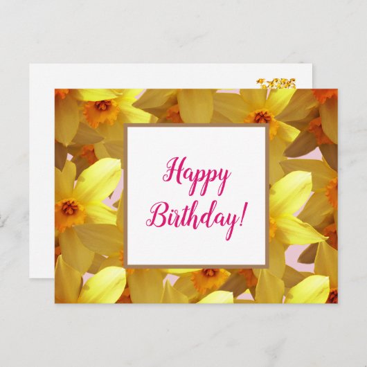 黄色の水仙の誕生日グリーティングカード ポストカード (正面/裏面)