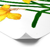 黄色の水仙フローラ絵画水の色 ポスター (角)