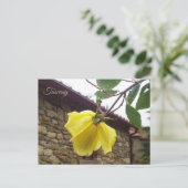 黄色の湿ったバラ。トスカーナ。イタリア ポストカード (スタンド正面)