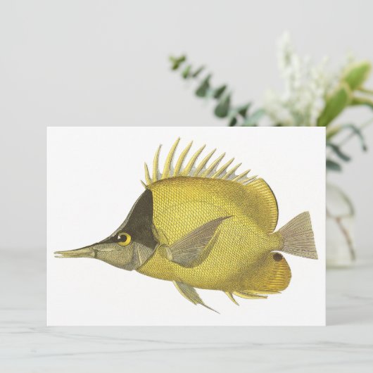 黄色の熱帯性チェルモン・ロングロストリス、ヴィンテージの魚 (スタンド正面)