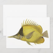 黄色の熱帯性チェルモン・ロングロストリス、ヴィンテージの魚 (正面/裏面)