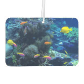黄色の熱帯魚の水中写真 カーエアーフレッシュナー (裏面)