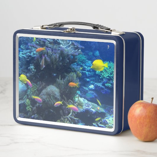 黄色の熱帯魚の水中写真 メタルランチボックス (インサイチュ)