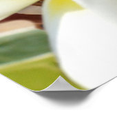 黄色の白いフランギパニの花束 ポスター (角)