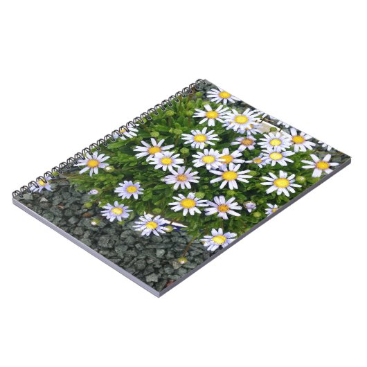黄色の白いマルガリータの花と灰色の小石 ノートブック (左側)