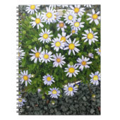 黄色の白いマルガリータの花と灰色の小石 ノートブック (正面)